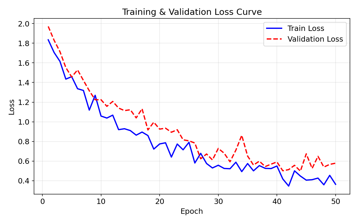 Loss Curve